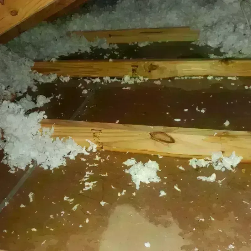 Attic Water Damage in Newton, IA