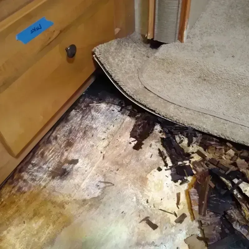 Wood Floor Water Damage in Newton, IA